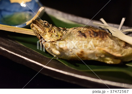 子持ち鮎焼き 子持ち鮎焼き 37472567