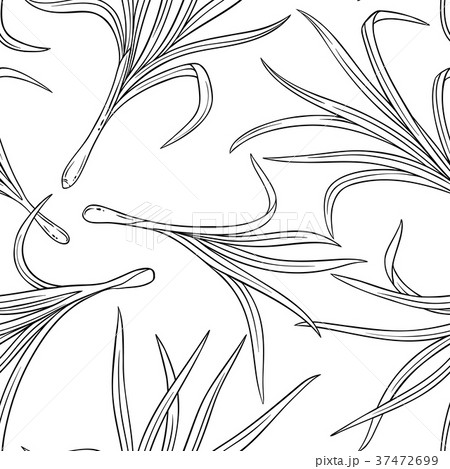 lemongrass seamless pattern 37472699