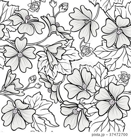 malva seamless pattern 37472700