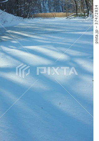 八甲田の冬 37472834