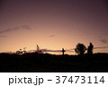 沖縄の風景 37473114