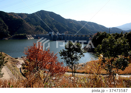 嘉瀬川ダムのダム湖 富士しゃくなげ湖 嘉瀬川ダムのダム湖 富士しゃくなげ湖 37473587