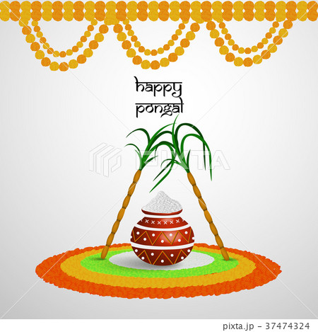 illustration of Indian festival Pongal background - Stock Illustration  [37474324] - PIXTA