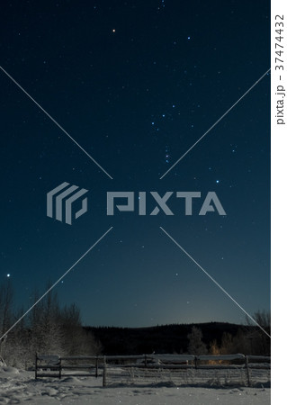 アラスカ・フェアバンクスの星空（オリオン座） 37474432