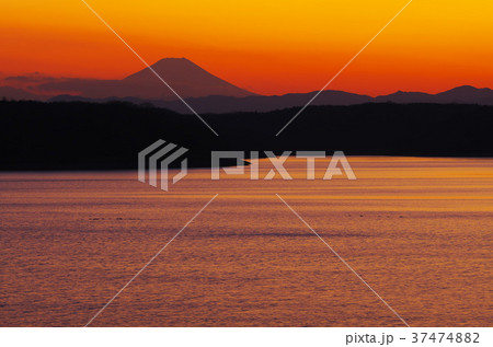 狭山湖から黄昏時の富士山を望む 狭山湖から黄昏時の富士山を望む 37474882