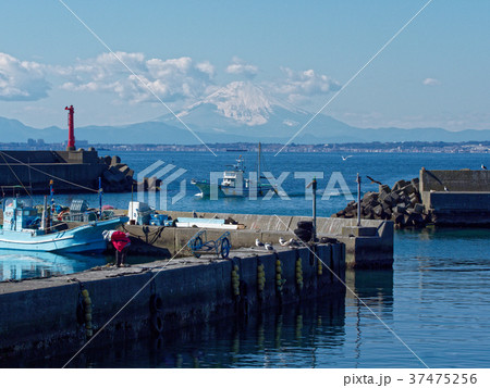 金谷漁港と富士山の写真素材