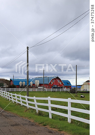 北海道　根室地方　牧場のある風景 37475268