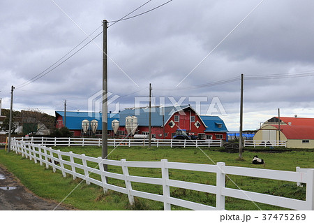 北海道 根室地方 牧場のある風景 北海道 根室地方 牧場のある風景 37475269