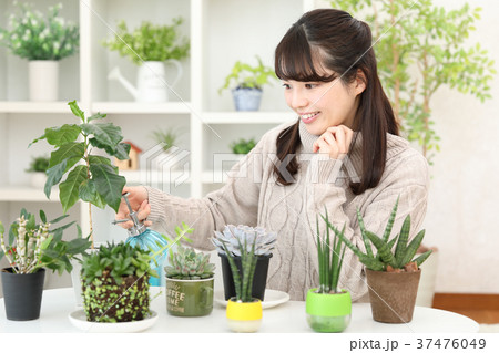 植物女子 植物女子 37476049