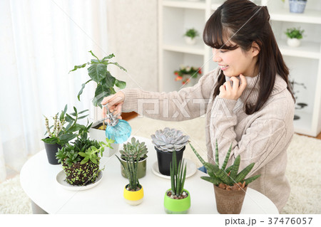 植物女子 植物女子 37476057