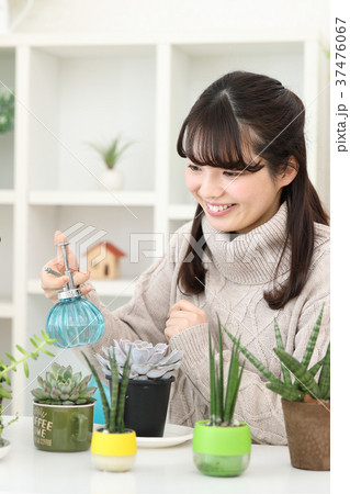 植物女子 植物女子 37476067