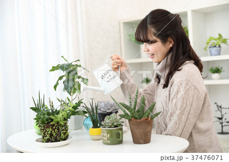 植物女子 37476071