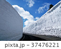 蔵王　雪の壁 37476221