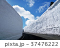 蔵王　雪の壁 37476222