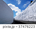 蔵王　雪の壁 37476223