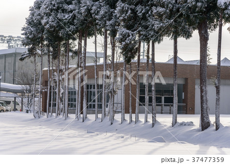 雪国 雪国 37477359