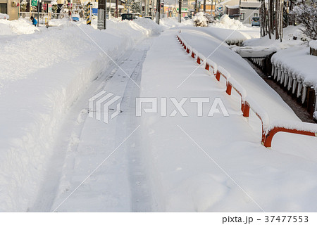 雪道 37477553