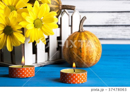 Bouquet of yellow daisies and pumpkin Bouquet of yellow daisies and pumpkin 37478063