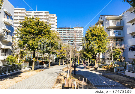 閑静な住宅街 37478139