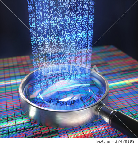 DNA Code Sequence 37478198