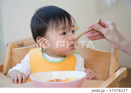 離乳食 離乳食 37478227