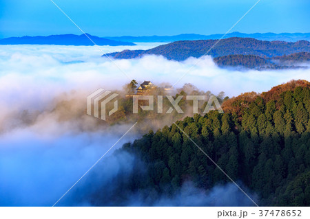 雲海から見える天空の山城 備中松山城 岡山県高梁市 雲海から見える天空の山城 備中松山城 岡山県高梁市 37478652