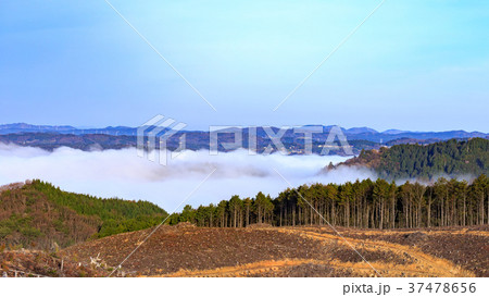 雲海から見える天空の山城　備中松山城　岡山県高梁市 37478656