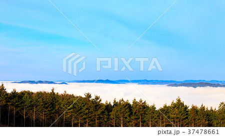 備中松山城展望台から望む雲海 37478661