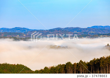雲海から見える天空の山城　備中松山城　岡山県高梁市 37478663