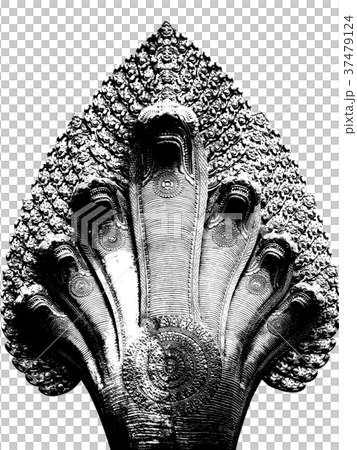 蛇 ヘビ 巳 37479124