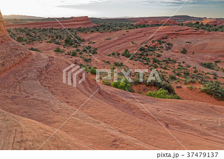 The Rocks of the Arches national Park The Rocks of the Arches national Park 37479137