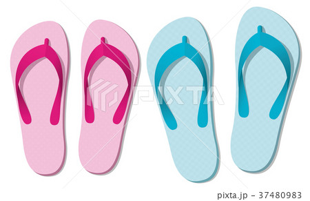 Sandals Thongs Colors Summer Footwear 37480983