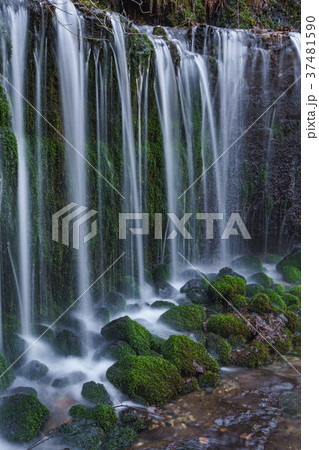 【長野県】絶景 人気の観光 白糸の滝 【長野県】絶景 人気の観光 白糸の滝 37481590