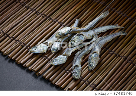 煮干し 煮干し 37481746