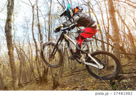 a young rider at the wheel of his mountain bike 37481982