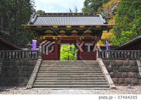 日光山輪王寺　仁王門 37484205