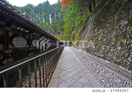 日光山　輪王寺 37484207