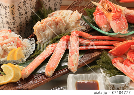 ズワイガニ 37484777