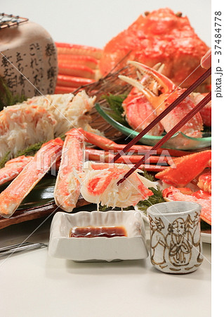 ズワイガニ 37484778