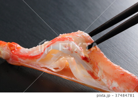 ズワイガニ ズワイガニ 37484781