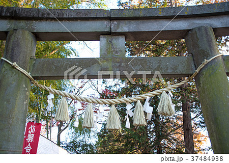 川越市 三芳野神社 鳥居 川越市 三芳野神社 鳥居 37484938