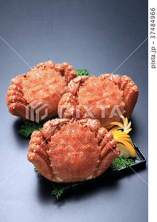 毛蟹 毛蟹 37484966