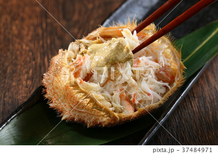 毛蟹 毛蟹 37484971