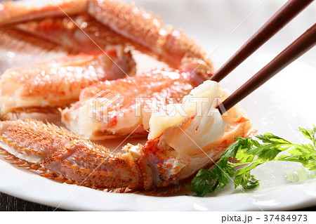 毛蟹 37484973