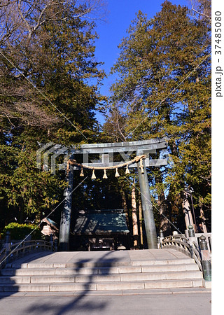 諏訪大社　上社本宮　東参道鳥居 37485080