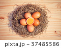 Chicken eggs in a nest on wooden, Top view	 37485586