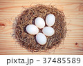 Duck eggs in a nest on wooden, Top view	 37485589