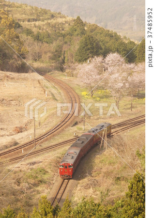 ループ線を下り大畑でスイッチバックして終点人吉へ向かう観光列車「いさぶろう・しんぺい」 ループ線を下り大畑でスイッチバックして終点人吉へ向かう観光列車「いさぶろう・しんぺい」 37485952