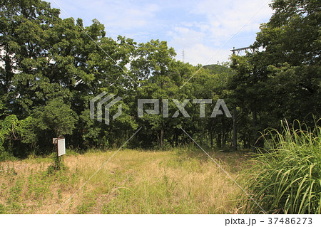 屋代城跡 37486273