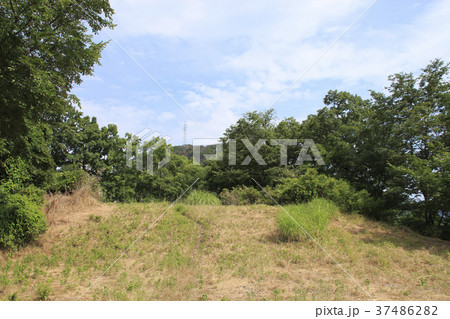 屋代城跡 37486282